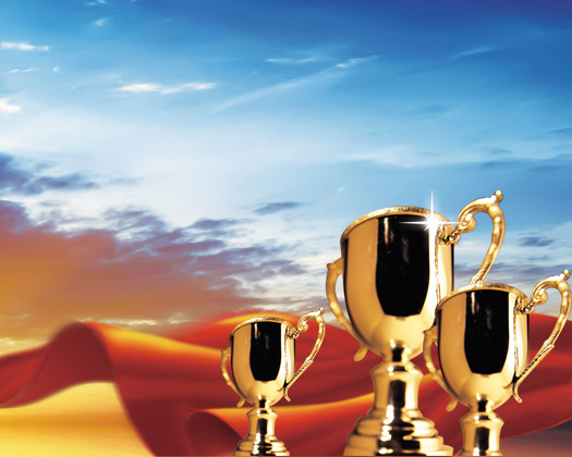 資質(zhì)榮譽(yù)